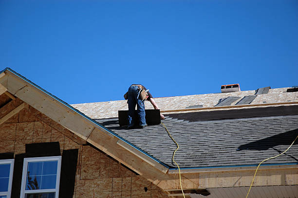 Best Roof Gutter Cleaning  in Blue Ridge, AL